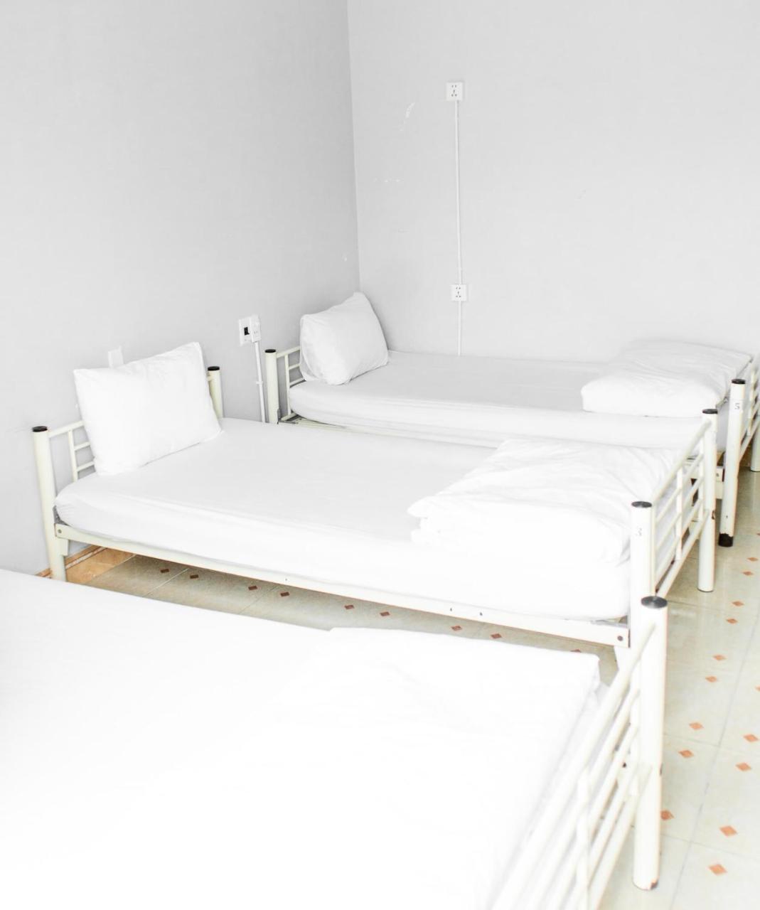 Sunflower Hostel Хойан Экстерьер фото